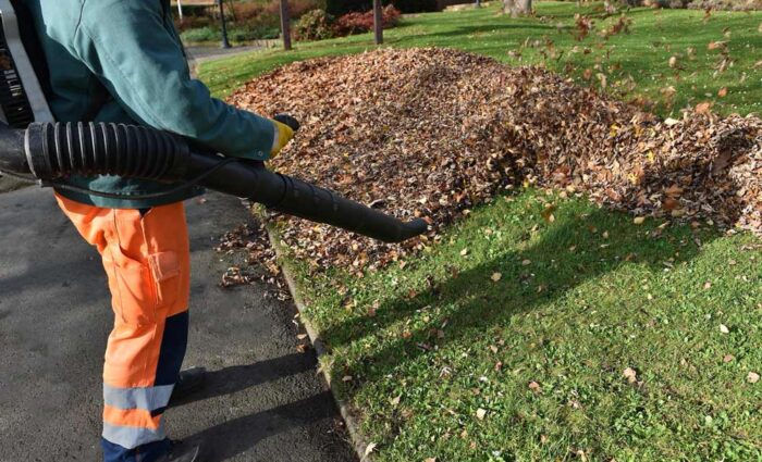 tgs-blower TGS-Leaf-clearance