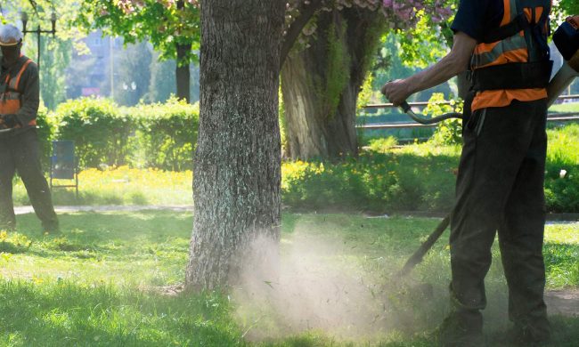 TGS-landscaping