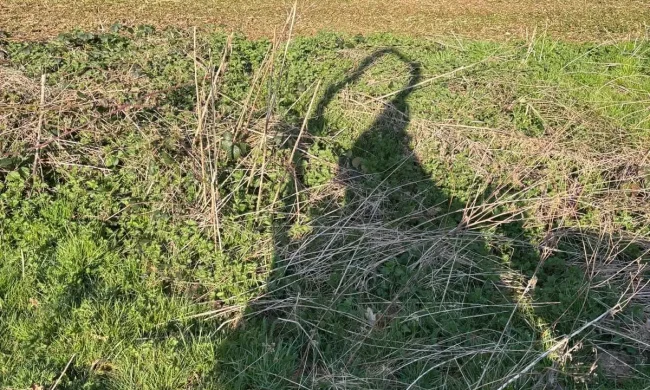 Total Groundcare Services Warton Tamworth Weed Killing