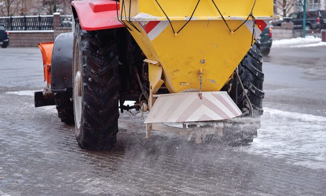 shutterstock_1555861901